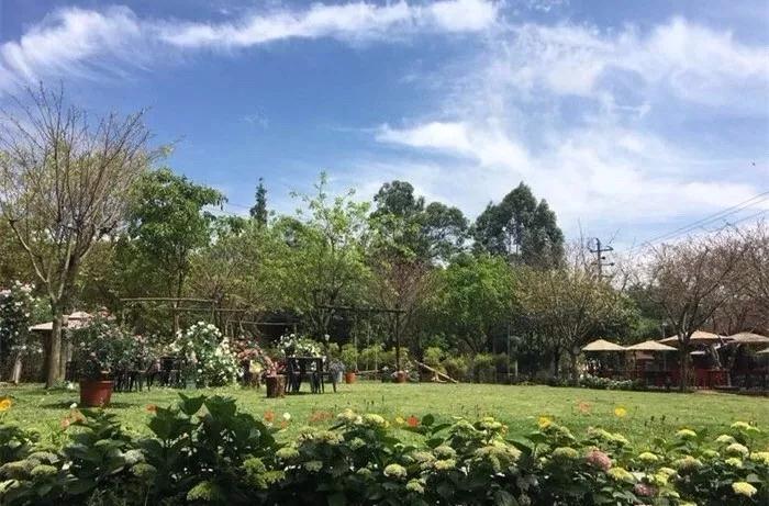 向往美好的生活，来一场狂欢的夏日盛宴~